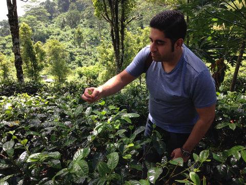 Organic Fairtrade Tea: What It Means, Why It Matters, and How to Choose a Better Brew